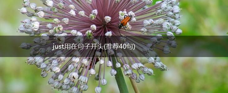 just用在句子开头(推荐40句),第1张