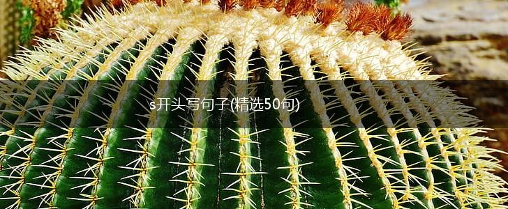 s开头写句子(精选50句),第1张