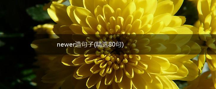newer造句子(精选80句),第1张