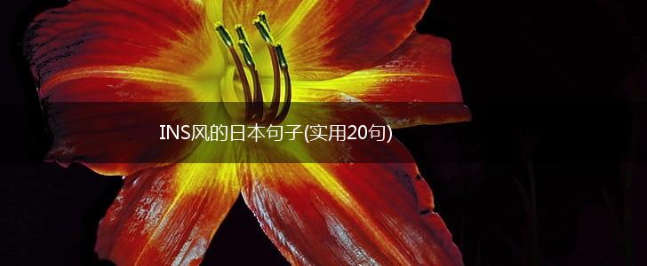 INS风的日本句子(实用20句),第1张