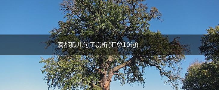 雾都孤儿句子赏析(汇总10句),第1张