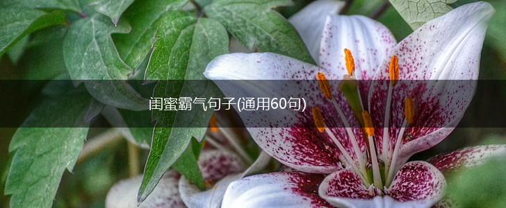 闺蜜霸气句子(通用60句),第1张
