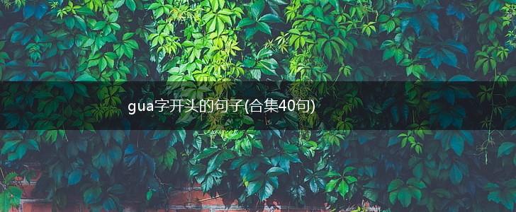 gua字开头的句子(合集40句),第1张