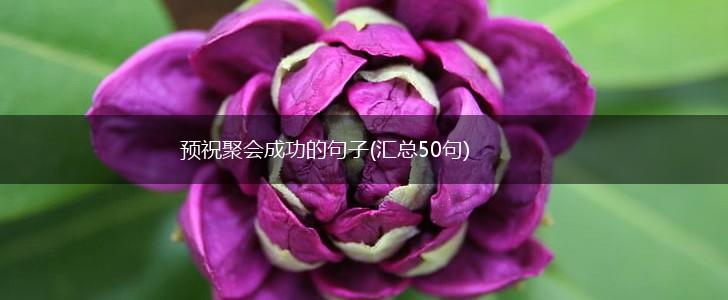 预祝聚会成功的句子(汇总50句),第1张