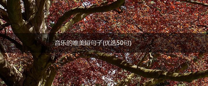 音乐的唯美短句子(优选50句),第1张
