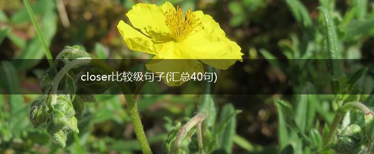 closer比较级句子(汇总40句),第1张
