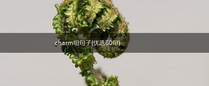 charm组句子(优选60句),第1张