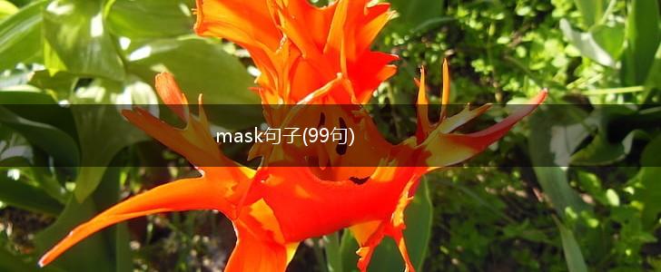 mask句子(99句),第1张