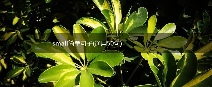 small简单句子(通用50句),第1张