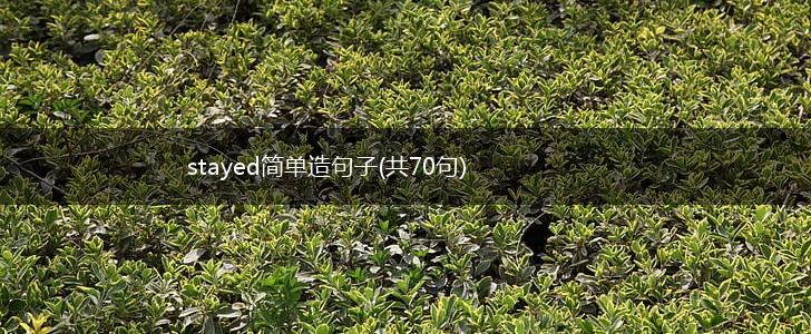 stayed简单造句子(共70句),第1张