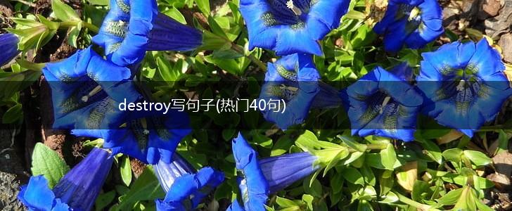 destroy写句子(热门40句),第1张