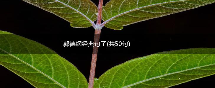 郭德纲经典句子(共50句),第1张
