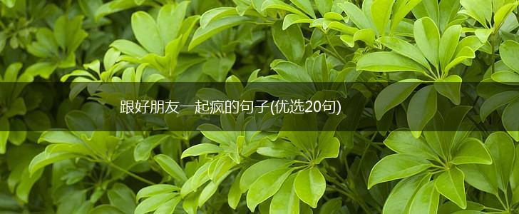 跟好朋友一起疯的句子(优选20句),第1张