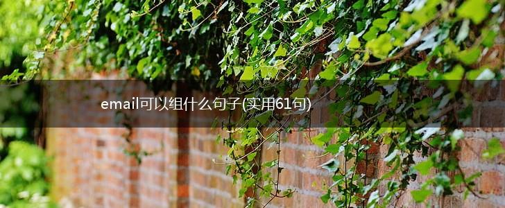 email可以组什么句子(实用61句),第1张