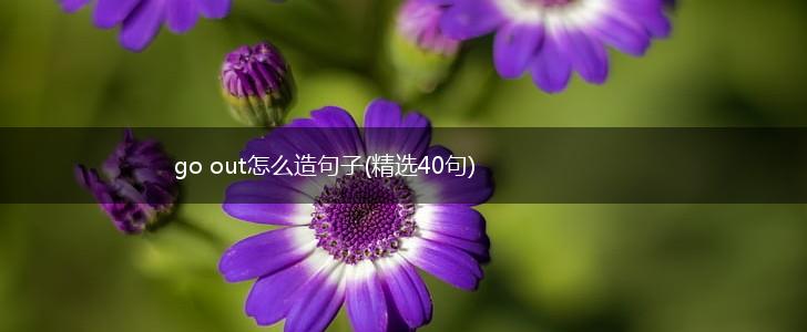 go out怎么造句子(精选40句),第1张