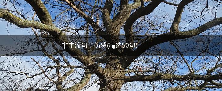 非主流句子伤感(精选50句),第1张