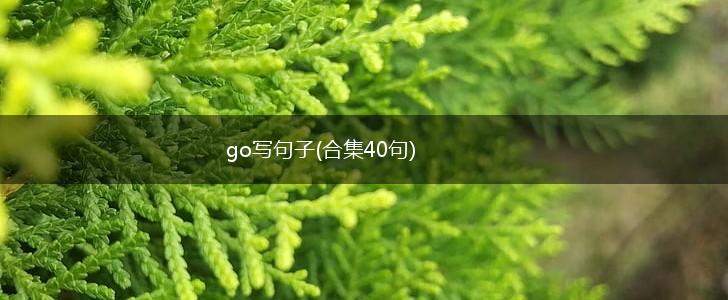 go写句子(合集40句),第1张