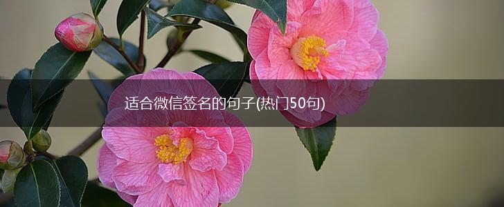 适合微信签名的句子(热门50句),第1张