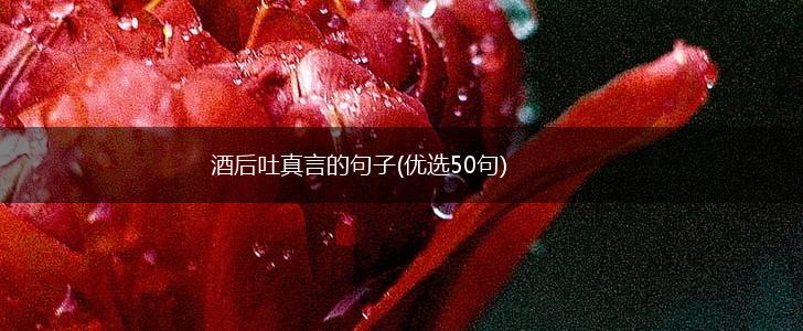 酒后吐真言的句子(优选50句),第1张