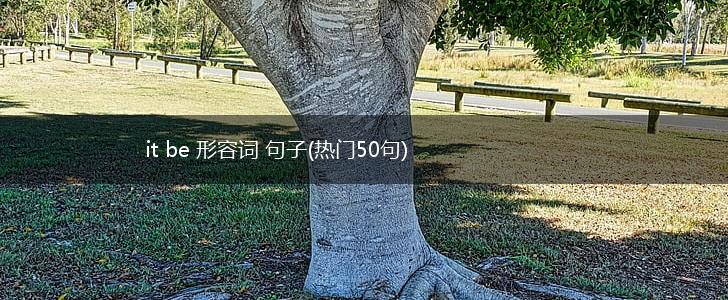 it be 形容词 句子(热门50句),第1张