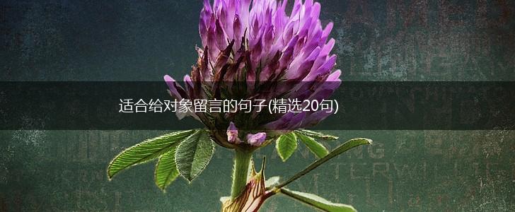 适合给对象留言的句子(精选20句),第1张