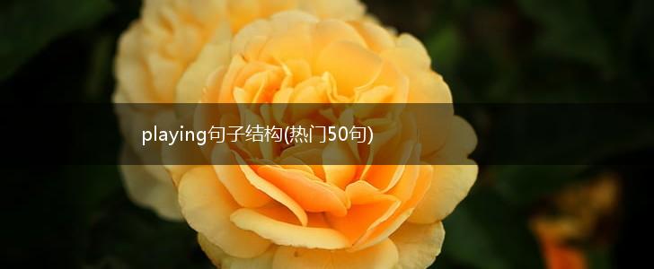 playing句子结构(热门50句),第1张