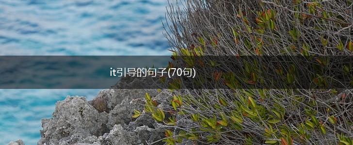 it引导的句子(70句),第1张