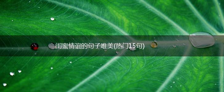 闺蜜情谊的句子唯美(热门15句),第1张