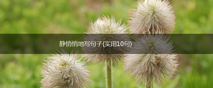 静悄悄地写句子(实用10句),第1张