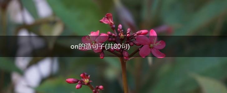 on的造句子(共80句),第1张