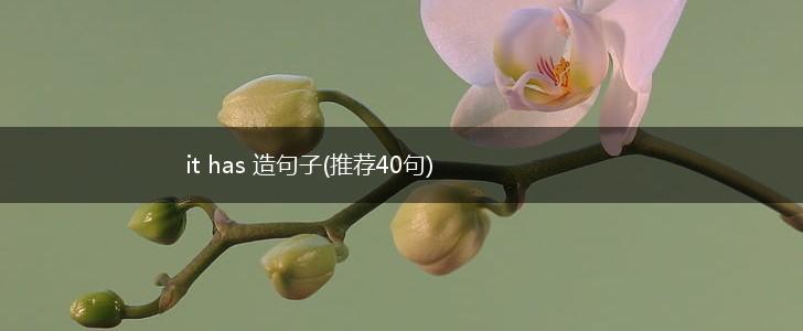 it has 造句子(推荐40句),第1张