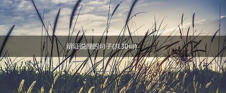 辩证说理的句子(共30句),第1张