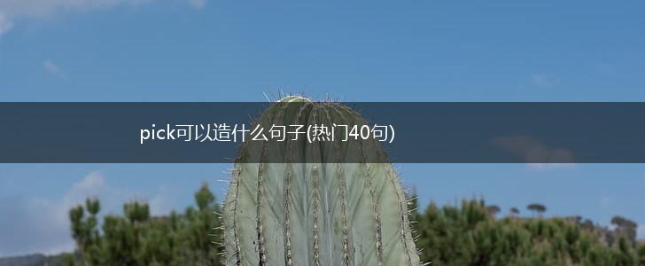 pick可以造什么句子(热门40句),第1张