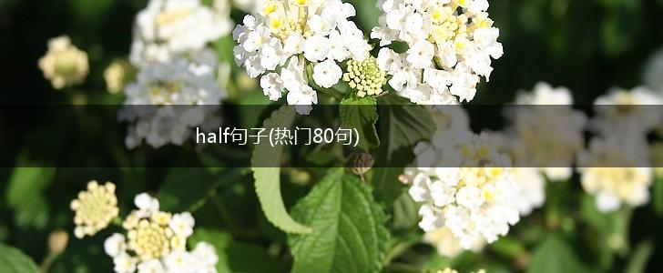 half句子(热门80句),第1张