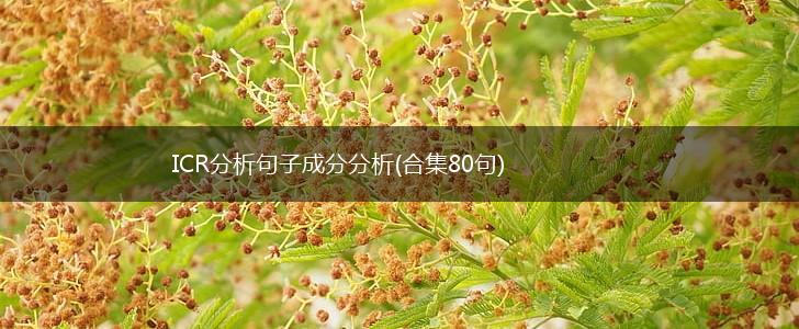 ICR分析句子成分分析(合集80句),第1张