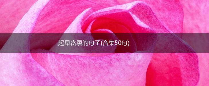 起早贪黑的句子(合集50句),第1张