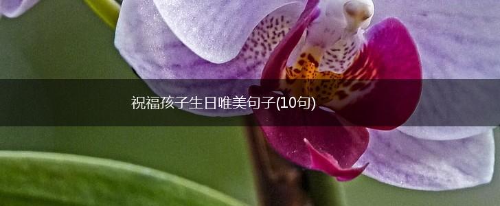 祝福孩子生日唯美句子(10句),第1张