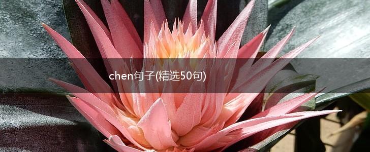 chen句子(精选50句),第1张