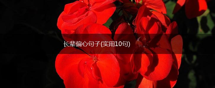 长辈偏心句子(实用10句),第1张