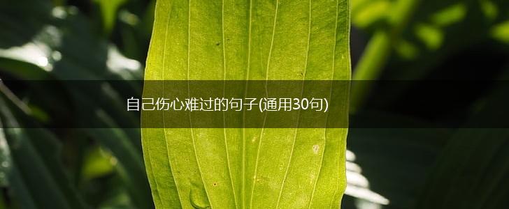 自己伤心难过的句子(通用30句),第1张