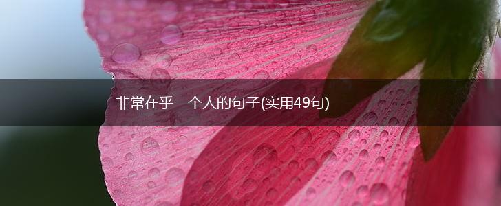 非常在乎一个人的句子(实用49句),第1张