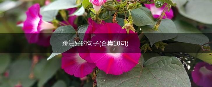 跳舞好的句子(合集10句),第1张