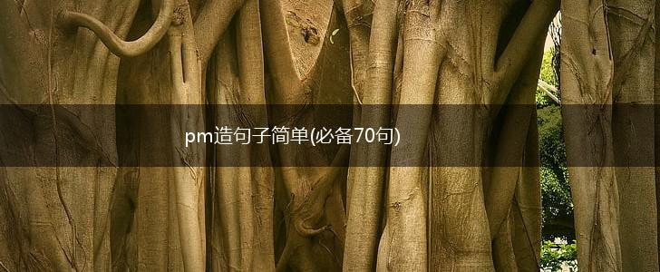 pm造句子简单(必备70句),第1张
