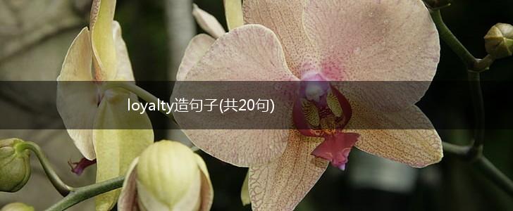 loyalty造句子(共20句),第1张