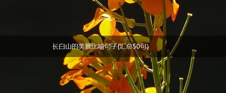长白山的美景比喻句子(汇总50句),第1张