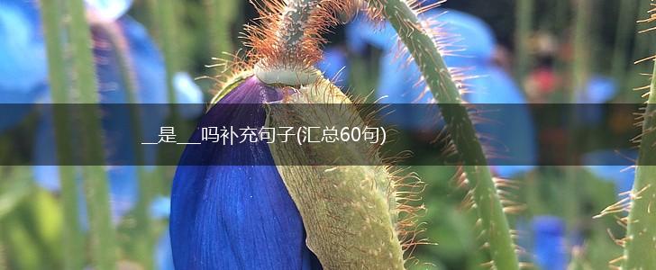 __是___吗补充句子(汇总60句),第1张