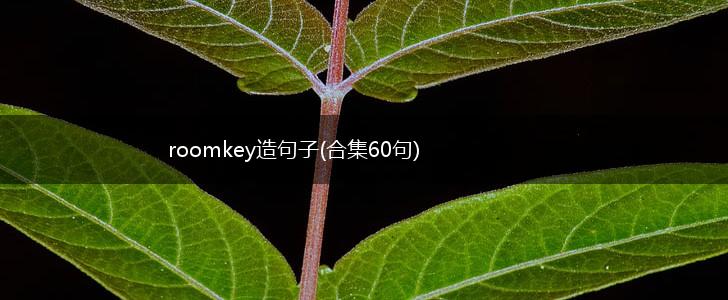 roomkey造句子(合集60句),第1张