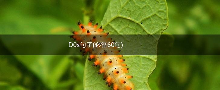 D0s句子(必备60句),第1张
