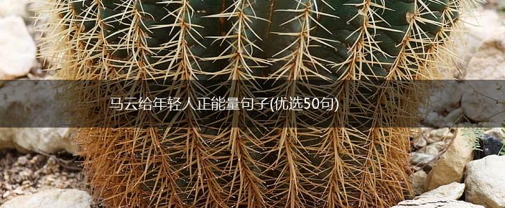 马云给年轻人正能量句子(优选50句),第1张