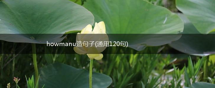 howmanu造句子(通用120句),第1张